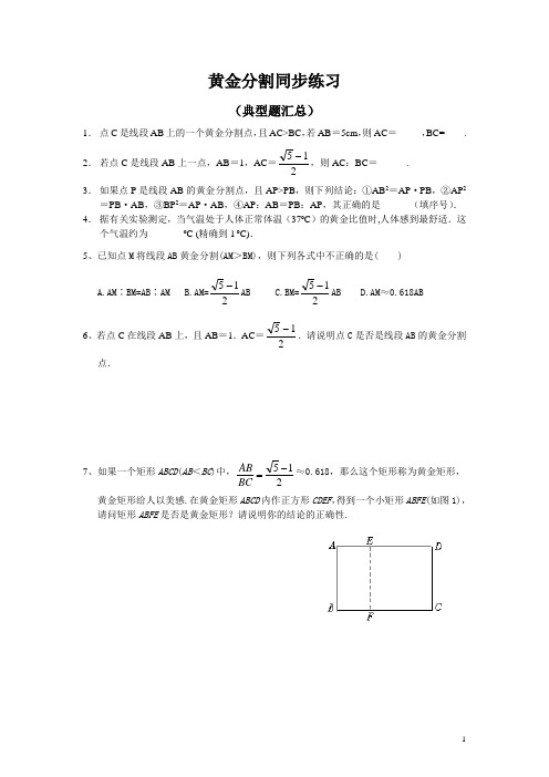 黄金分割同步练习及答案 (10)