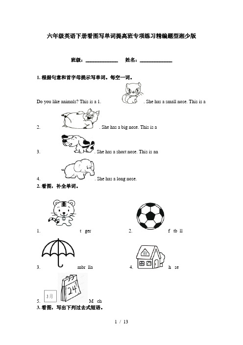 六年级英语下册看图写单词提高班专项练习精编题型湘少版