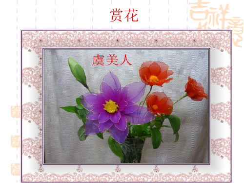 丝网花(桔梗花)课件