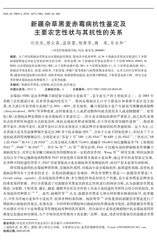 新疆杂草黑麦赤霉病抗性鉴定及主要农艺性状与其抗性的关系