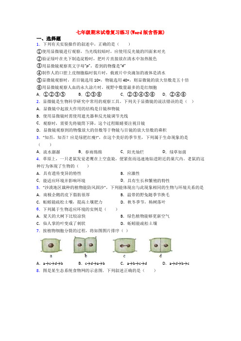 七年级期末试卷复习练习(Word版含答案)