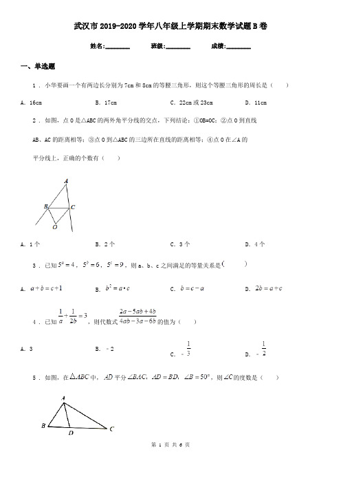 武汉市2019-2020学年八年级上学期期末数学试题B卷