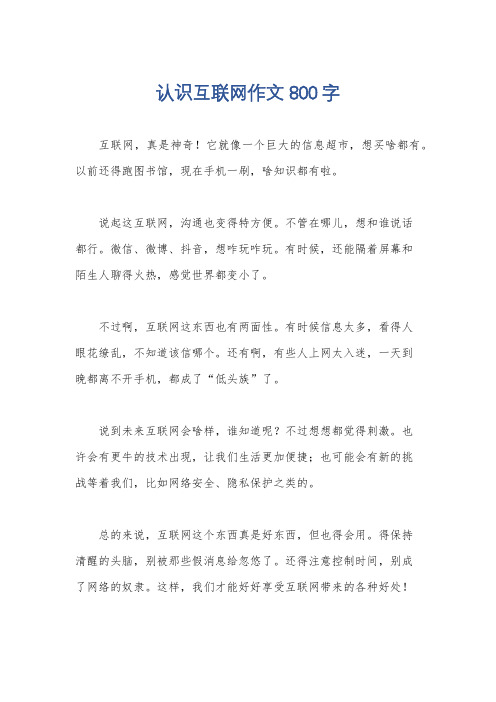 认识互联网作文800字