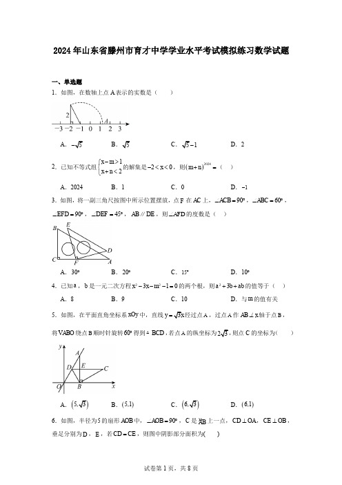 2024年山东省滕州市育才中学学业水平考试模拟练习数学试题