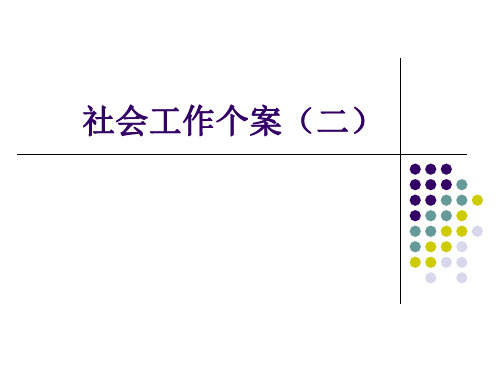 八  社会工作个案(二)