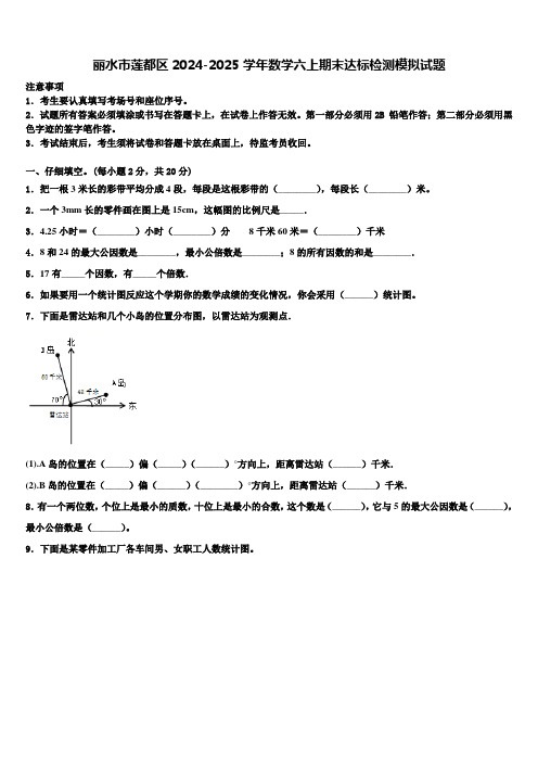 丽水市莲都区2024-2025学年数学六上期末达标检测模拟试题含解析