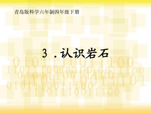 小学科学第二单元岩石的科学3认识岩石