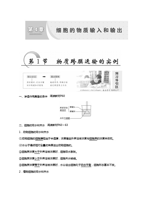 人教版高考生物必修1同步学案第4章 第1节 物质跨膜运输的实例