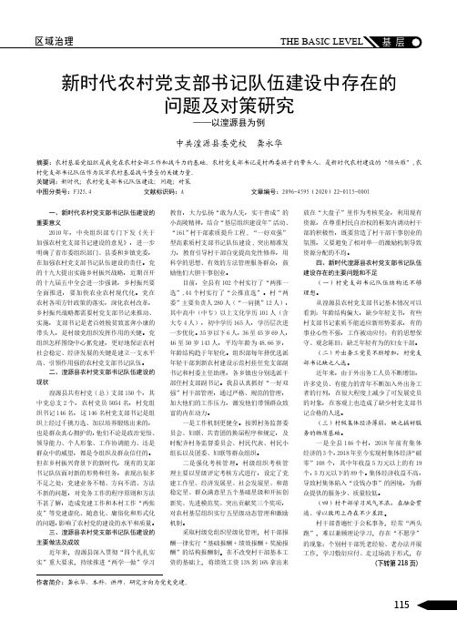 新时代农村党支部书记队伍建设中存在的问题及对策研究——以湟源县为例