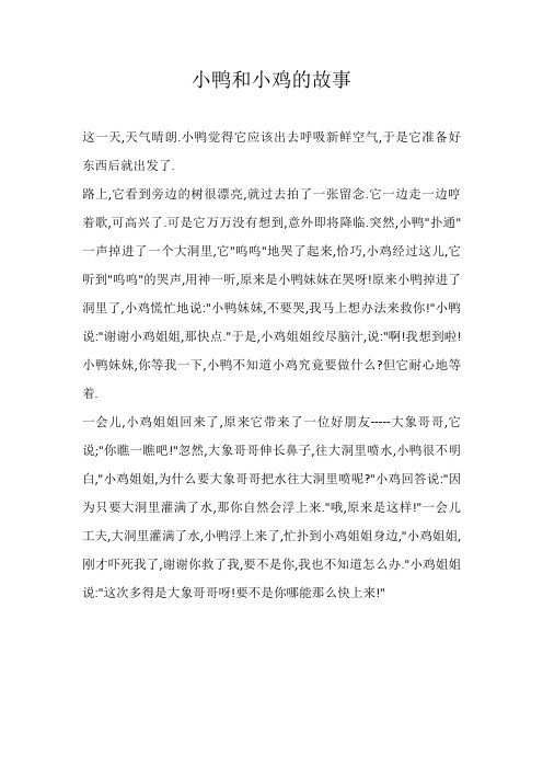 六年级童话小鸭和小鸡的故事