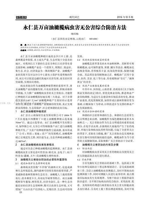 永仁县万亩油橄榄病虫害无公害综合防治方法