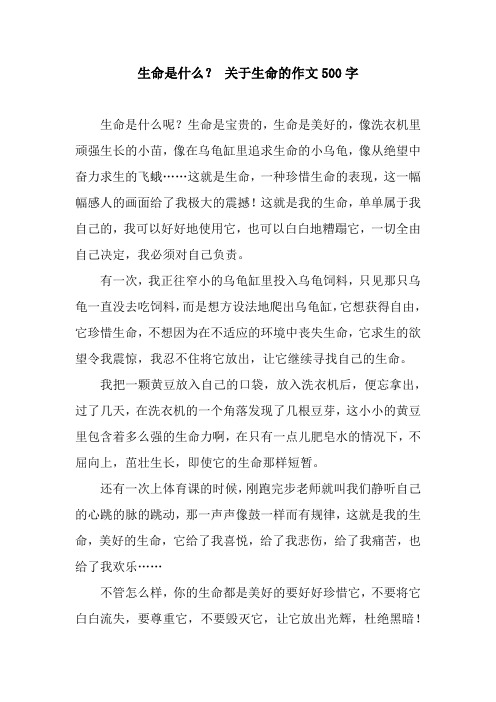 生命是什么? 关于生命的作文500字