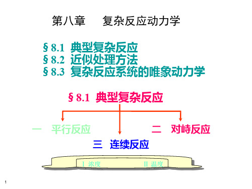 典型复杂反应对峙ppt课件