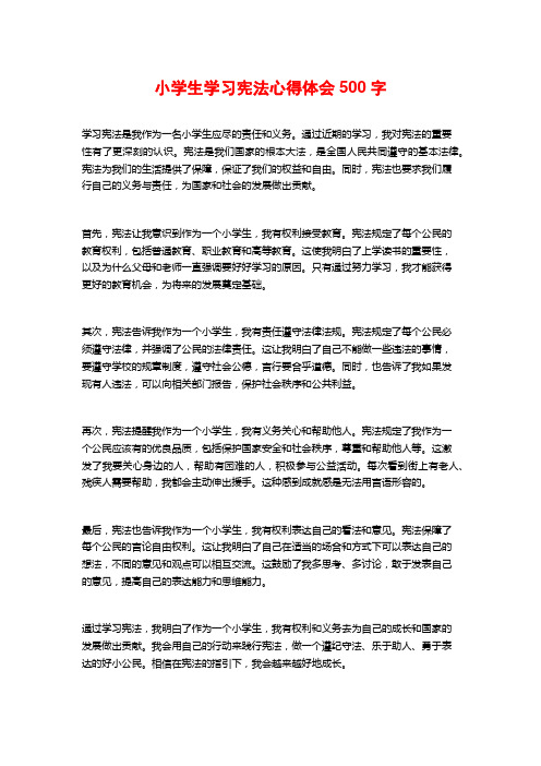 小学生学习宪法心得体会500字