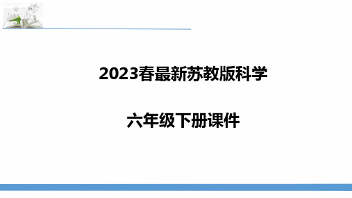 最新苏教版六年级下册科学7.做个生态瓶 课件