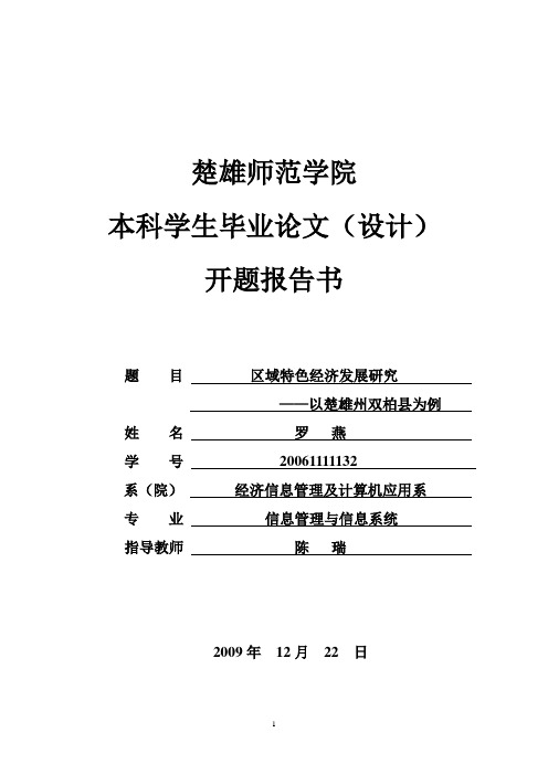 区域经济特色发展分析以双柏县“彝族虎文化大观园”为例开题报告终稿