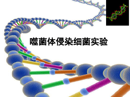 公开课噬菌体侵染细菌实验[精编文档]