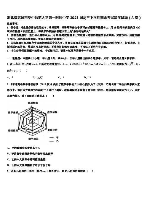 湖北省武汉市华中师范大学第一附属中学2025届高三下学期期末考试数学试题(A卷)