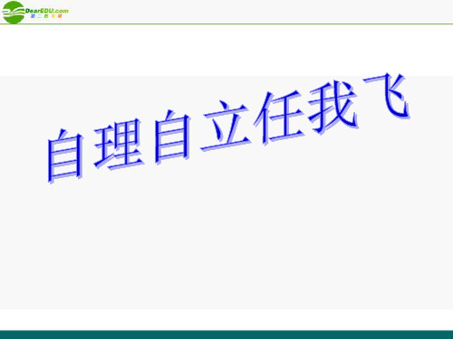 八年级政治上册 自理自立任我飞课件1 陕教版