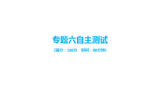 六年级下册总复习专题六自主测试人教版