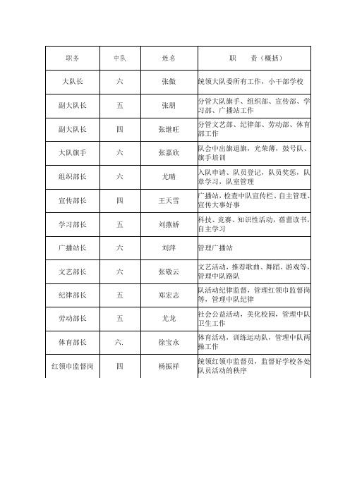 少先队大队委情况一览表