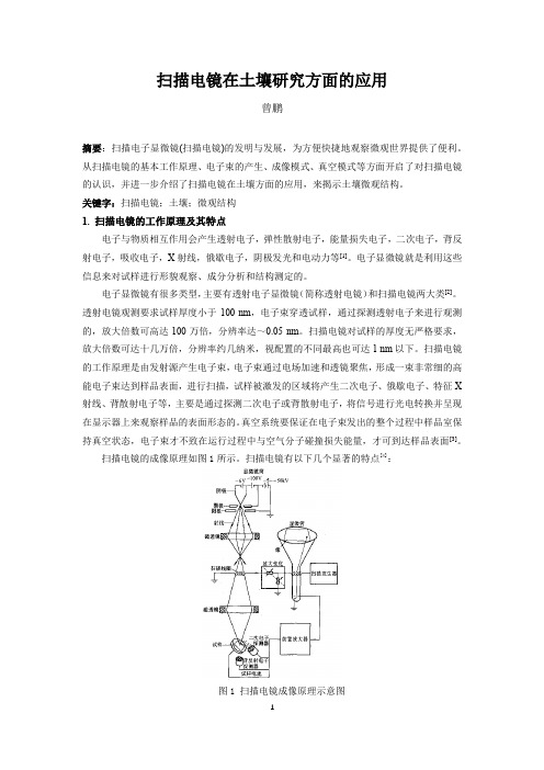 扫描电镜在土壤研究方面的应用