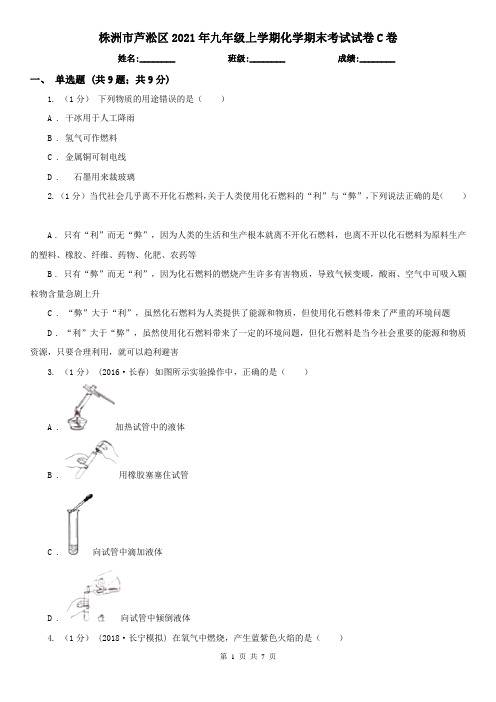 株洲市芦淞区2021年九年级上学期化学期末考试试卷C卷