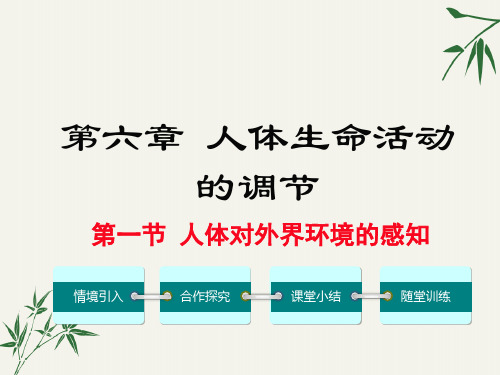 七年级生物下册第六章《人体生命活动的调节》PPT课件