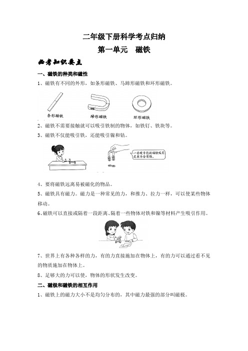 二年级下册科学考点归纳