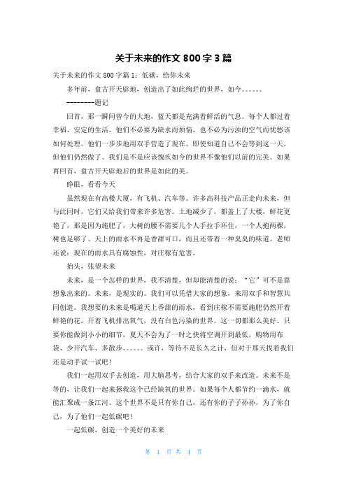 关于未来的作文800字3篇