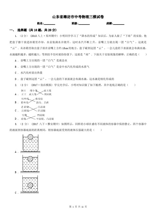 山东省潍坊市中考物理三模试卷