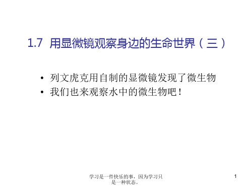 (新编)最新教科版小学科学六年级下册《用显微镜观察身边的生命世界(三)》教学课件