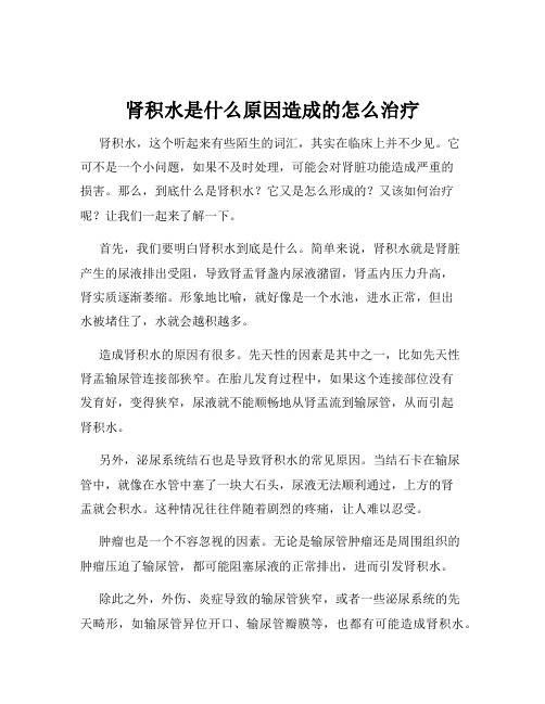 肾积水是什么原因造成的怎么治疗