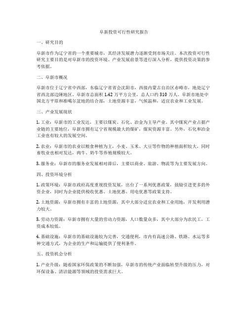 阜新投资可行性研究报告