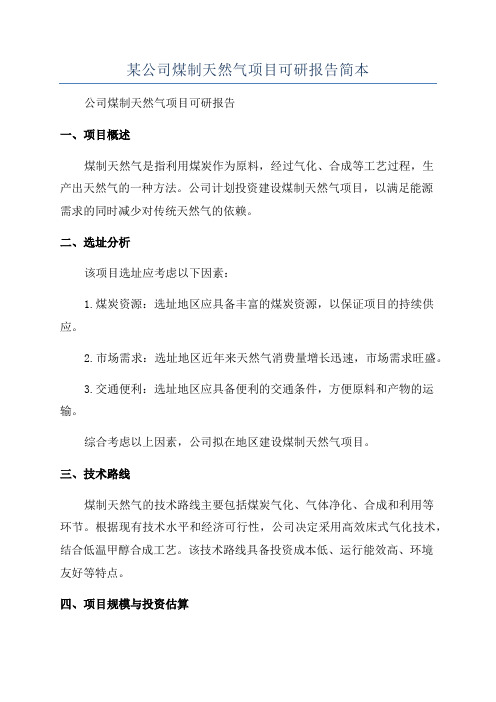 某公司煤制天然气项目可研报告简本