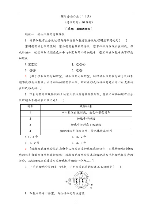 青岛二中2020-2021学年生物必修1同步训练-23 动物细胞的有丝分裂、观察根尖分生区组织细胞的有丝分裂 