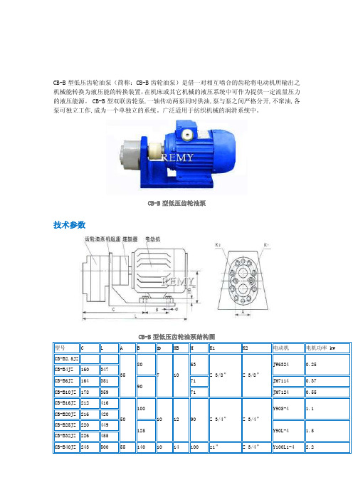 CBB型低压齿轮油泵