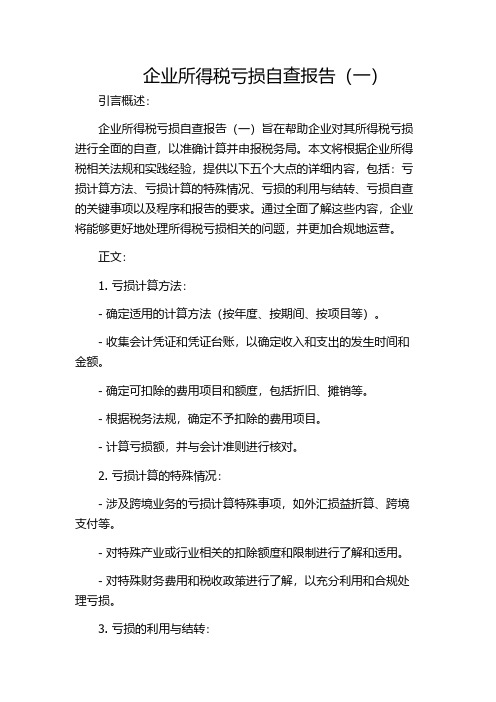 企业所得税亏损自查报告(一)