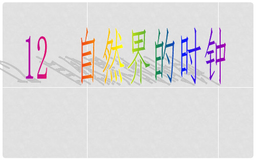 三年级语文下册《自然界的时钟》课件5 长版