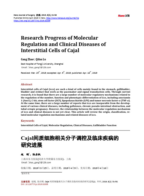 Cajal间质细胞相关分子调控及临床疾病的研究进展