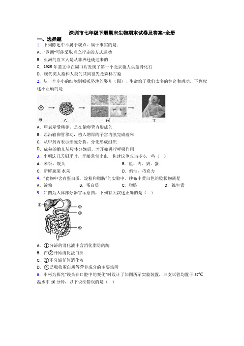 深圳市七年级下册期末生物期末试卷及答案-全册