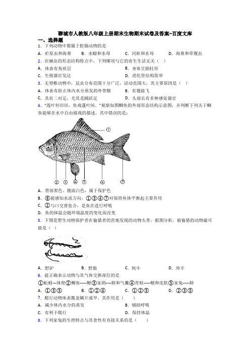 聊城市人教版八年级上册期末生物期末试卷及答案-百度文库