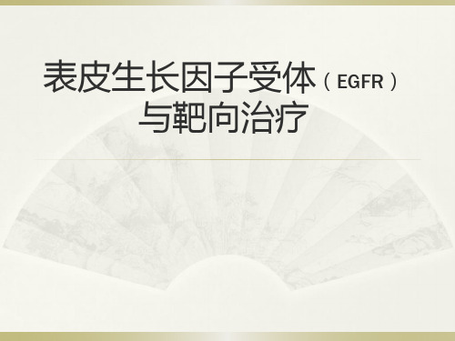 EGFR与靶向治疗