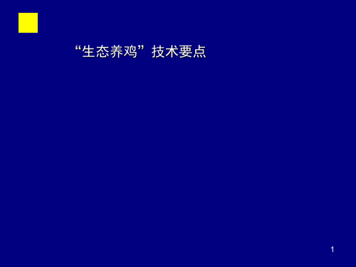 “生态养鸡”技术要点幻灯片课件