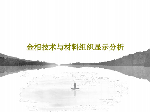 金相技术与材料组织显示分析46页PPT