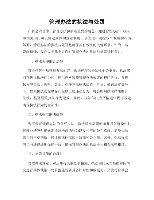 管理办法的执法与处罚