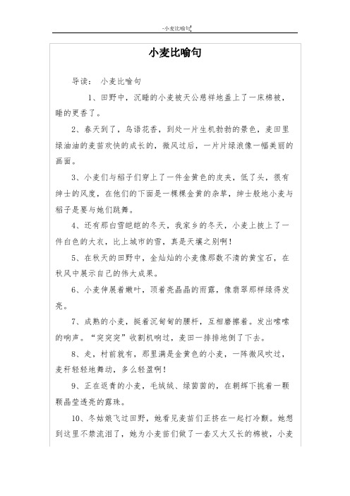 小麦比喻句