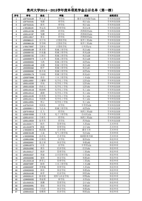 2015单项奖学金名单