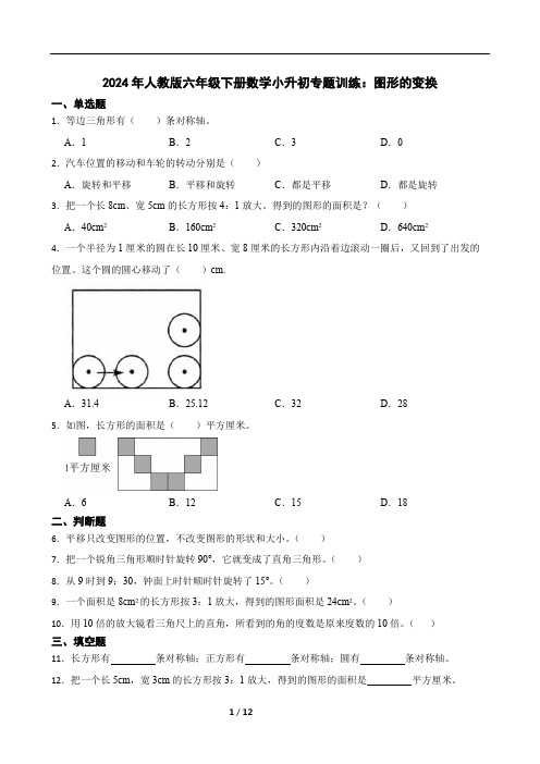 2024年人教版六年级下册数学小升初专题训练：图形的变换(含答案)