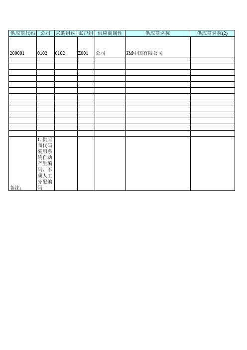 401大连重工SAP实施项目-数据准备-供应商主数据模板 (1)